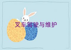 ꖅ^(q)WSSATĂWУ