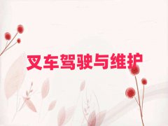 Ѕ^(q)ĂW(xu)УW(xu)SAT10
