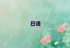 2025Ϻh·WZN4N510