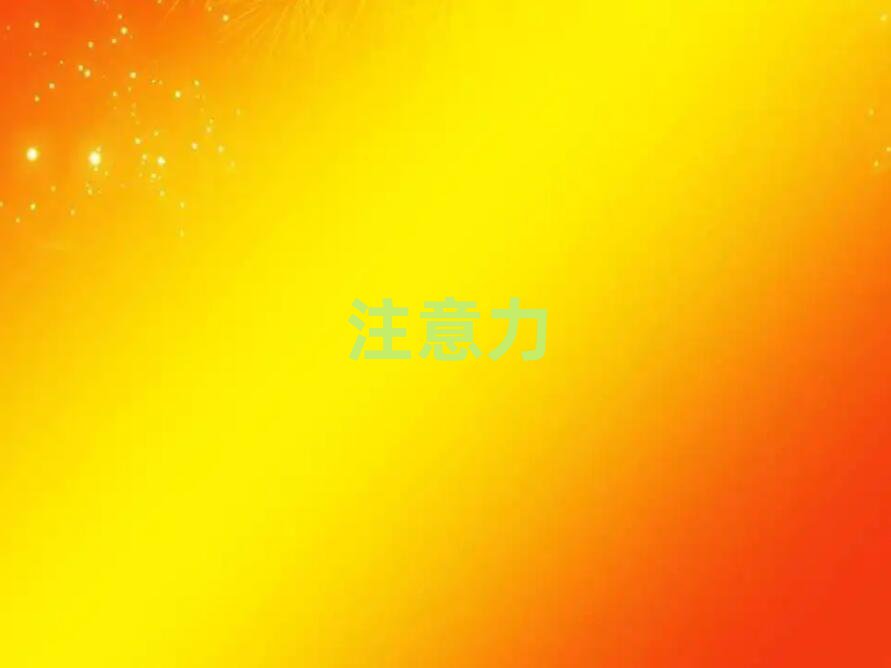 2019ꖃͯo(do)W(xu)ĂW(xu)У
