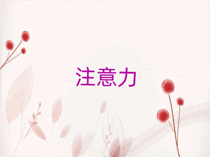 2019°كעӖWУrλ