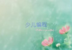 _ʼWСWW