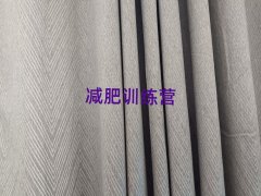 RɽpʰӖIX