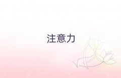 ꖺӶ(dng)YmӖ(xn)C(j)(gu)ǰʮ΅R