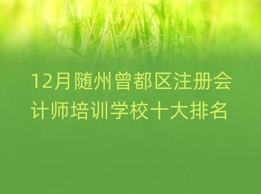 12月隨州曾都區(qū)注冊會計(jì)師培訓(xùn)學(xué)校十大排名