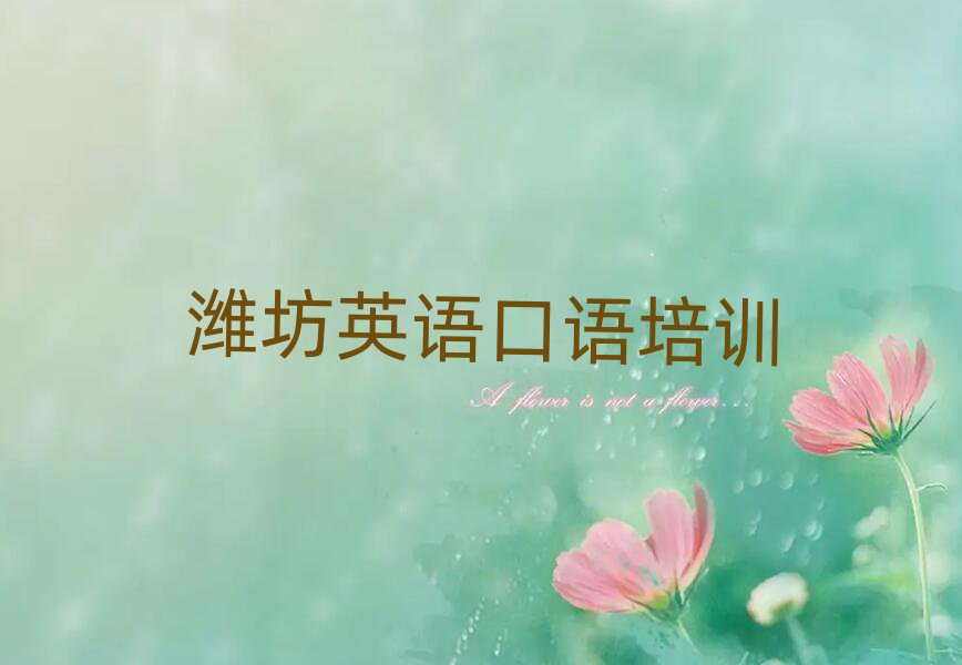 2024年濰坊濰城區(qū)在哪里學(xué)英語口語比較好