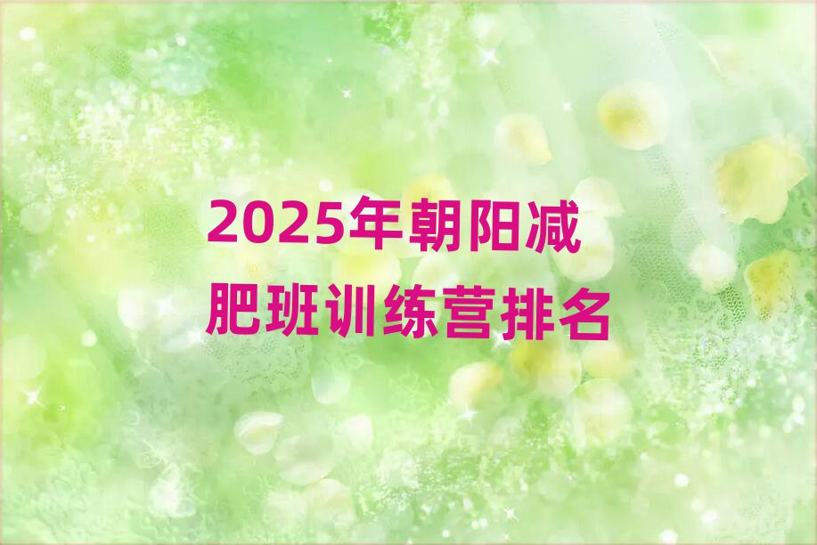 2025年朝陽減肥班訓練營排名