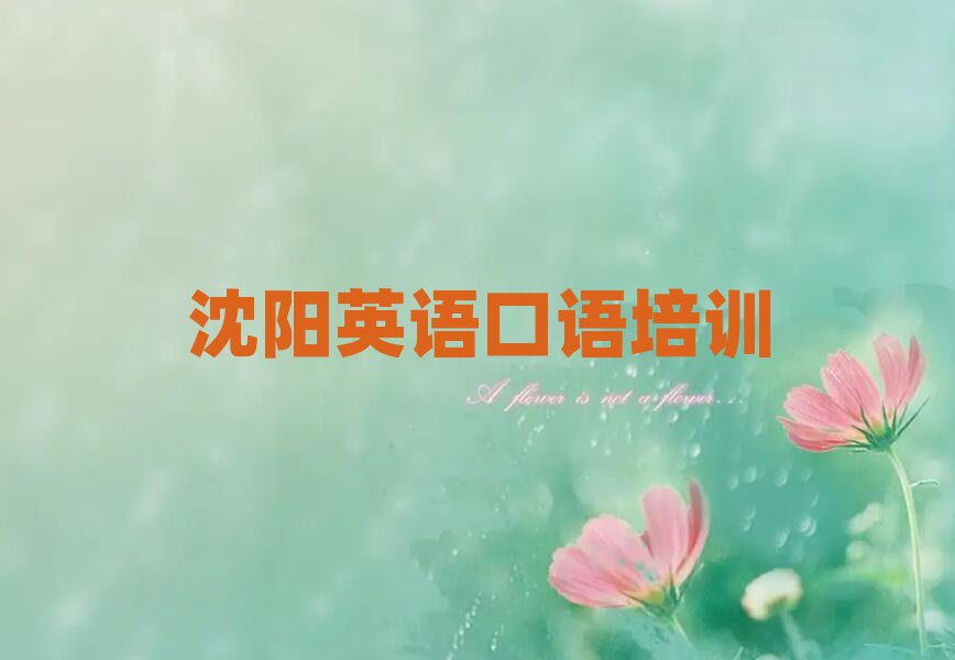 沈陽(yáng)大東區(qū)英語(yǔ)口語(yǔ)培訓(xùn)班