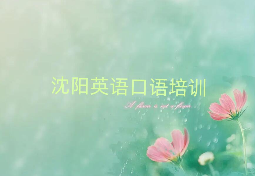 2025年沈陽(yáng)沈北新區(qū)英語(yǔ)口語(yǔ)培訓(xùn)班