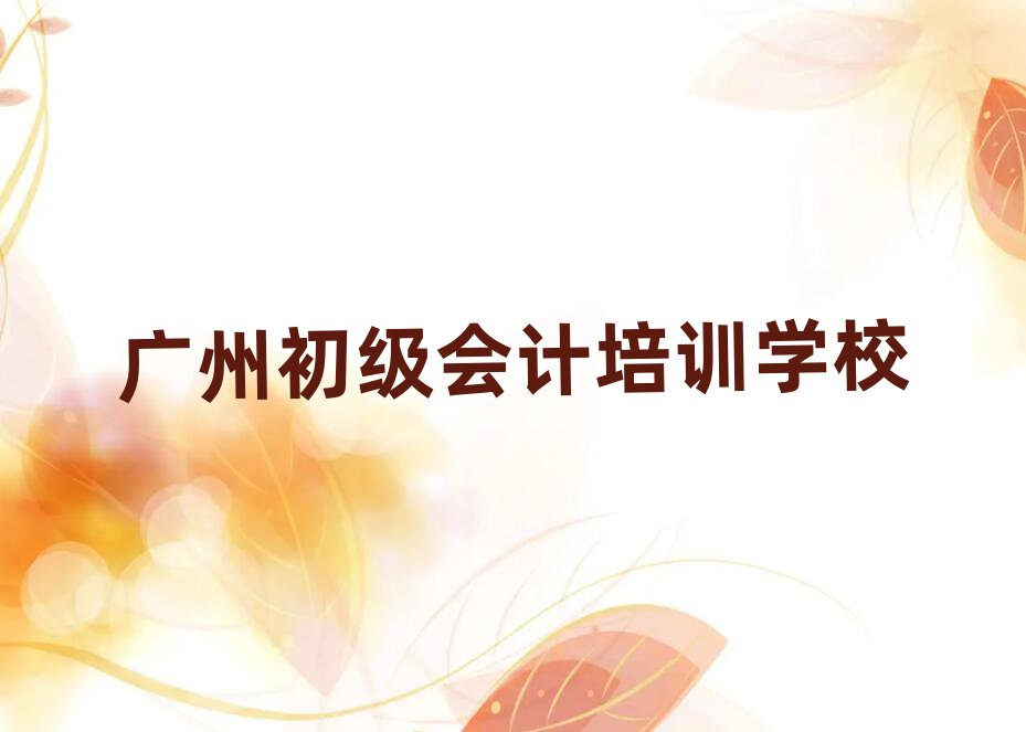 廣州從化區(qū)初級會計培訓課程都有哪些內(nèi)容