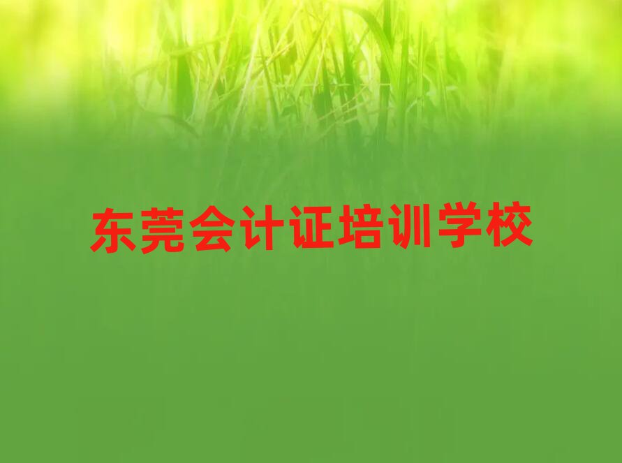 東莞會(huì)計(jì)證哪里會(huì)計(jì)證培訓(xùn)班實(shí)惠