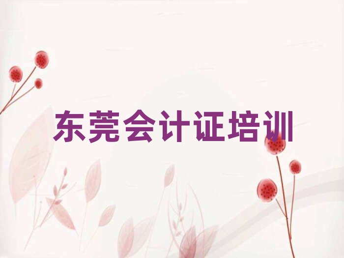 東莞會(huì)計(jì)證哪里會(huì)計(jì)證培訓(xùn)班實(shí)惠