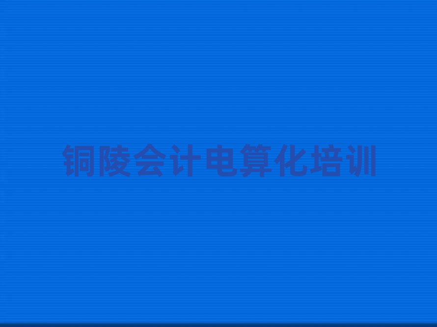 2025年銅陵有什么會計(jì)電算化機(jī)構(gòu)排名前五