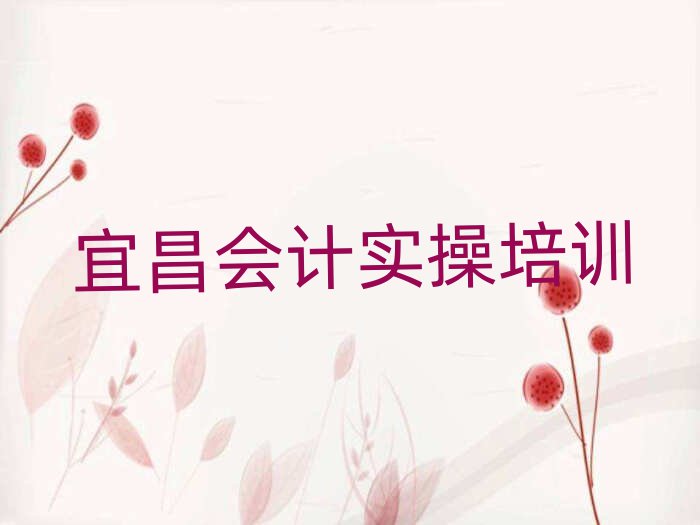 2025年宜昌會(huì)計(jì)做賬培訓(xùn)學(xué)校