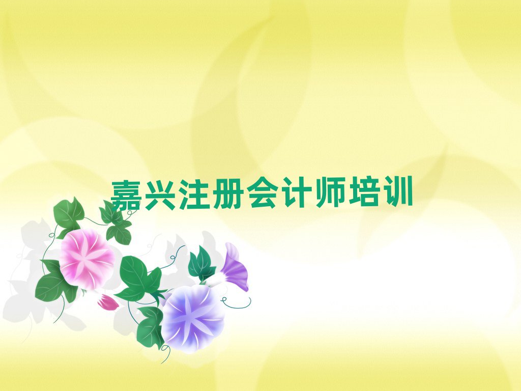 嘉興注冊(cè)會(huì)計(jì)師培訓(xùn)在哪學(xué)十大正規(guī)排行