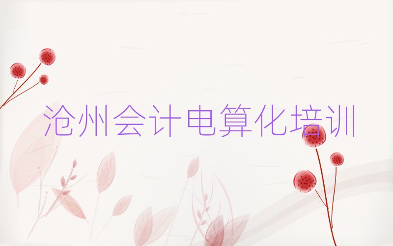 2025年滄州新華區(qū)會計電算化報培訓(xùn)班有用嗎十大排名