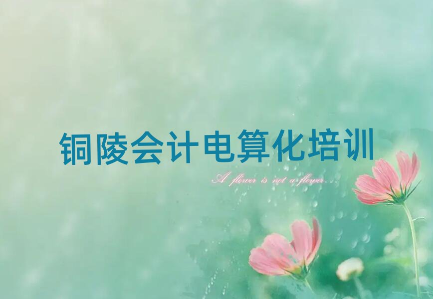 銅陵義安區(qū)會(huì)計(jì)電算化培訓(xùn)速成班學(xué)費(fèi)多少錢(qián)排名前十