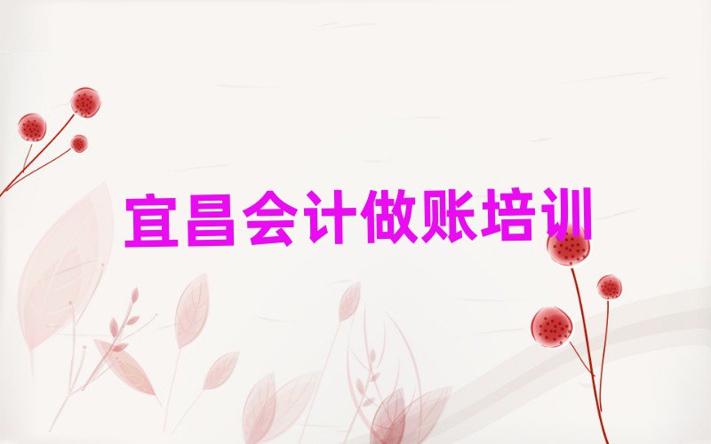 2025年宜昌猇亭區(qū)會(huì)計(jì)做賬培訓(xùn)機(jī)構(gòu)選哪個(gè)比較好十大排名