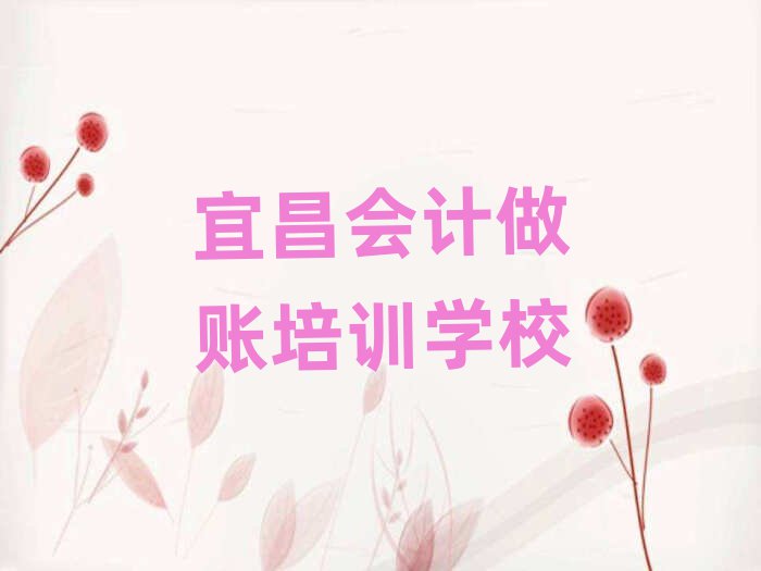 2025年宜昌猇亭區(qū)會(huì)計(jì)做賬培訓(xùn)機(jī)構(gòu)選哪個(gè)比較好十大排名