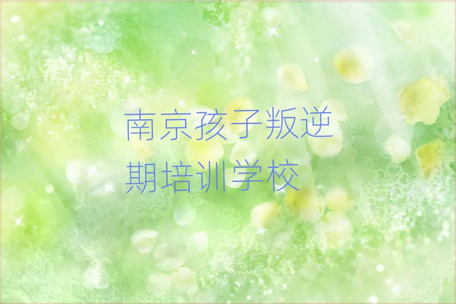 2025年南京秦淮區(qū)好的學(xué)孩子叛逆期學(xué)校