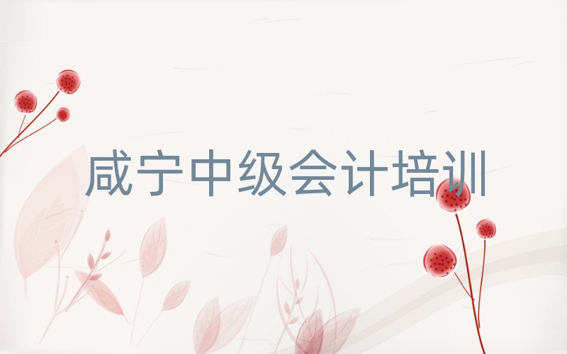 2025咸寧咸安區(qū)到哪里學(xué)中級(jí)會(huì)計(jì)好前十名