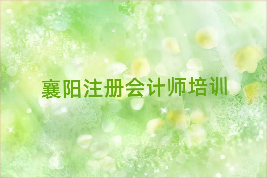 襄陽樊城區(qū)學注冊會計師的學校哪個好實力排名名單