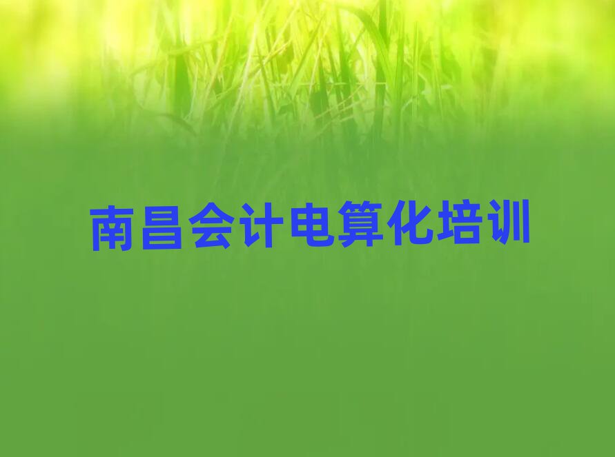 南昌西湖區(qū)會(huì)計(jì)電算化比較正規(guī)的會(huì)計(jì)電算化學(xué)校在哪里