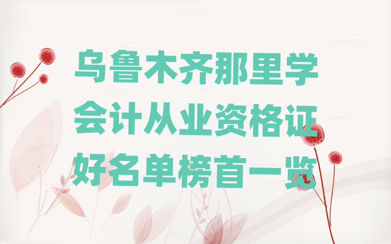 烏魯木齊那里學(xué)會(huì)計(jì)從業(yè)資格證好名單榜首一覽