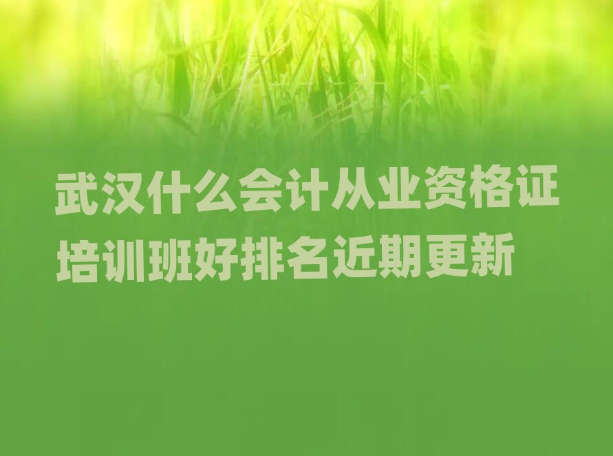 武漢什么會(huì)計(jì)從業(yè)資格證培訓(xùn)班好排名近期更新