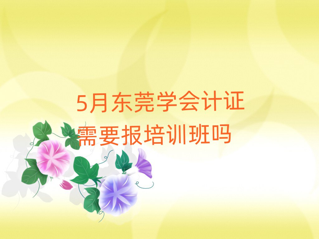 5月東莞學(xué)會計證需要報培訓(xùn)班嗎