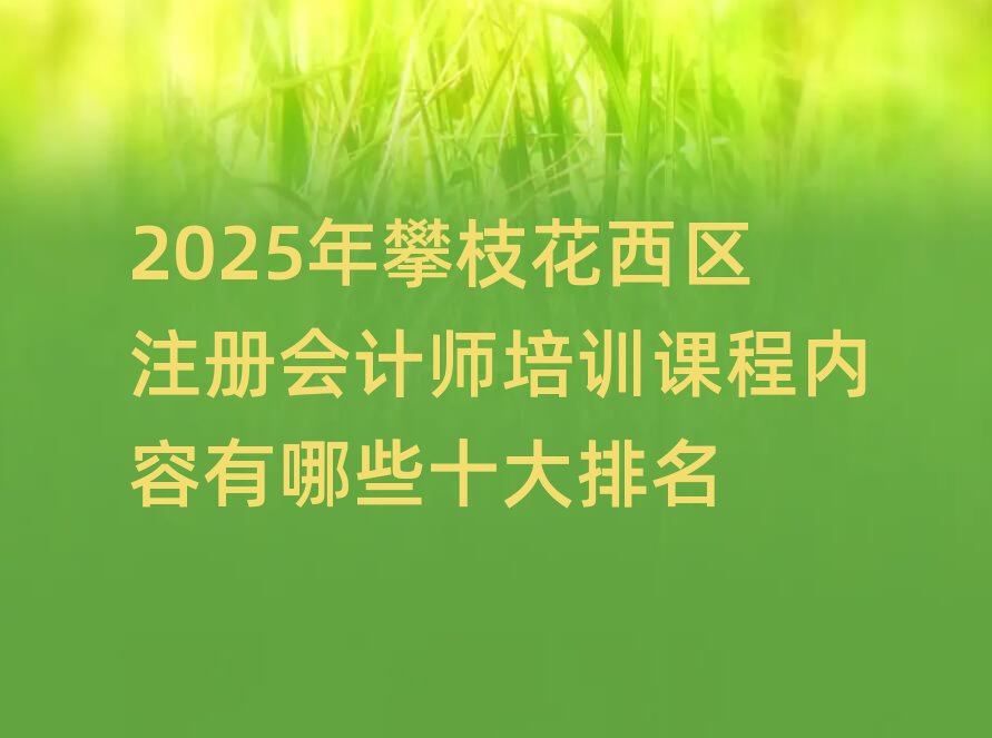 2025年攀枝花西區(qū)注冊會計師培訓(xùn)課程內(nèi)容有哪些十大排名