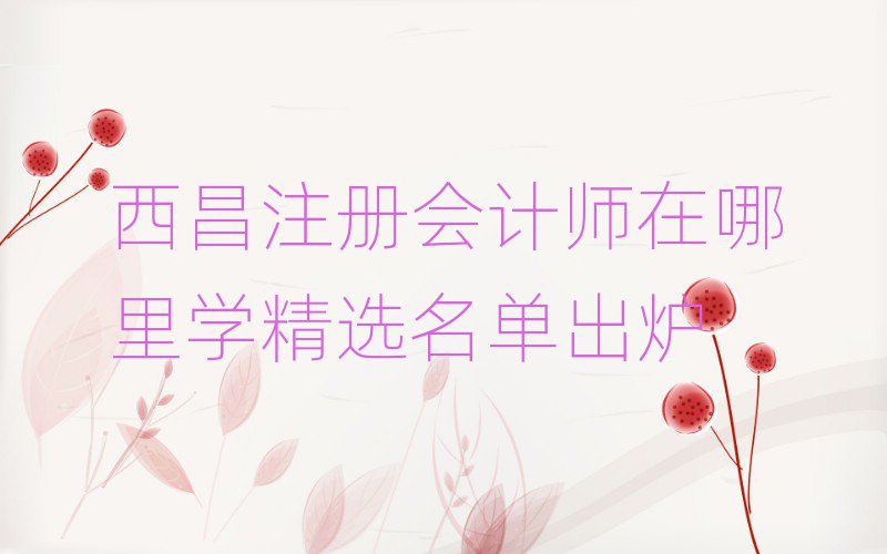 西昌注冊(cè)會(huì)計(jì)師在哪里學(xué)精選名單出爐