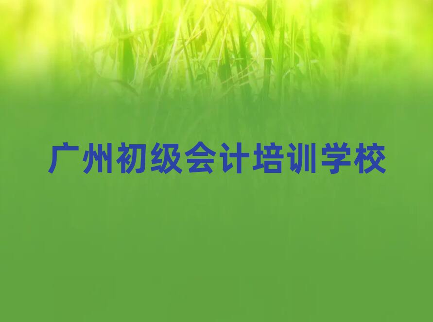 廣州初級(jí)會(huì)計(jì)培訓(xùn)機(jī)構(gòu)精選名單推薦