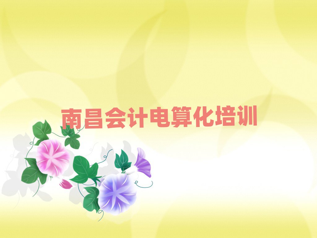 南昌哪有學(xué)會(huì)計(jì)電算化