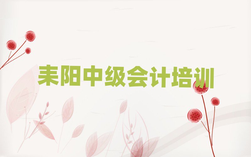 2025年耒陽中級會計(jì)正規(guī)的培訓(xùn)學(xué)校