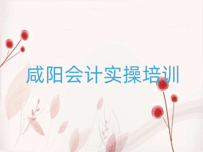咸陽楊陵區(qū)學會計實操哪家好名單榜首精選出爐