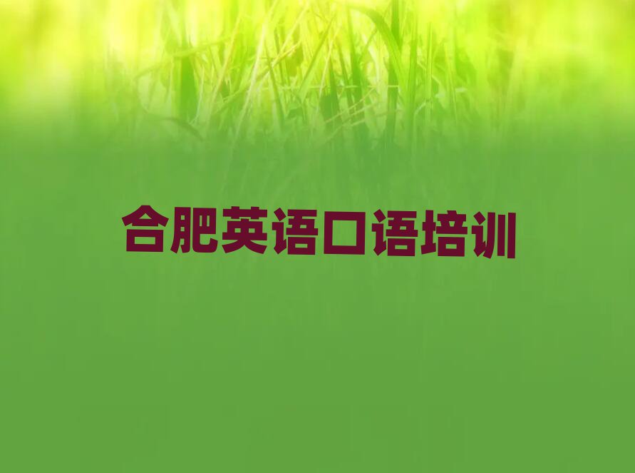 合肥蜀山區(qū)英語(yǔ)口語(yǔ)培訓(xùn)班是怎么上課