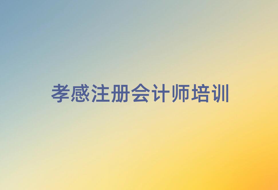 2025年孝感什么學校學注冊會計師好排名公布