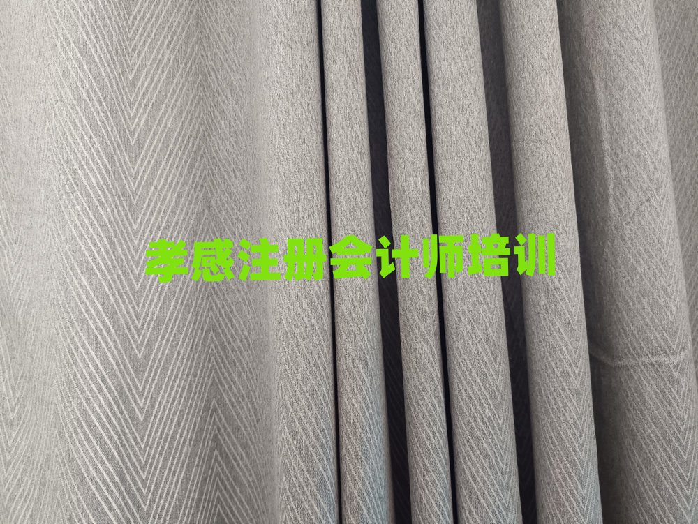 2025年孝感什么學校學注冊會計師好排名公布