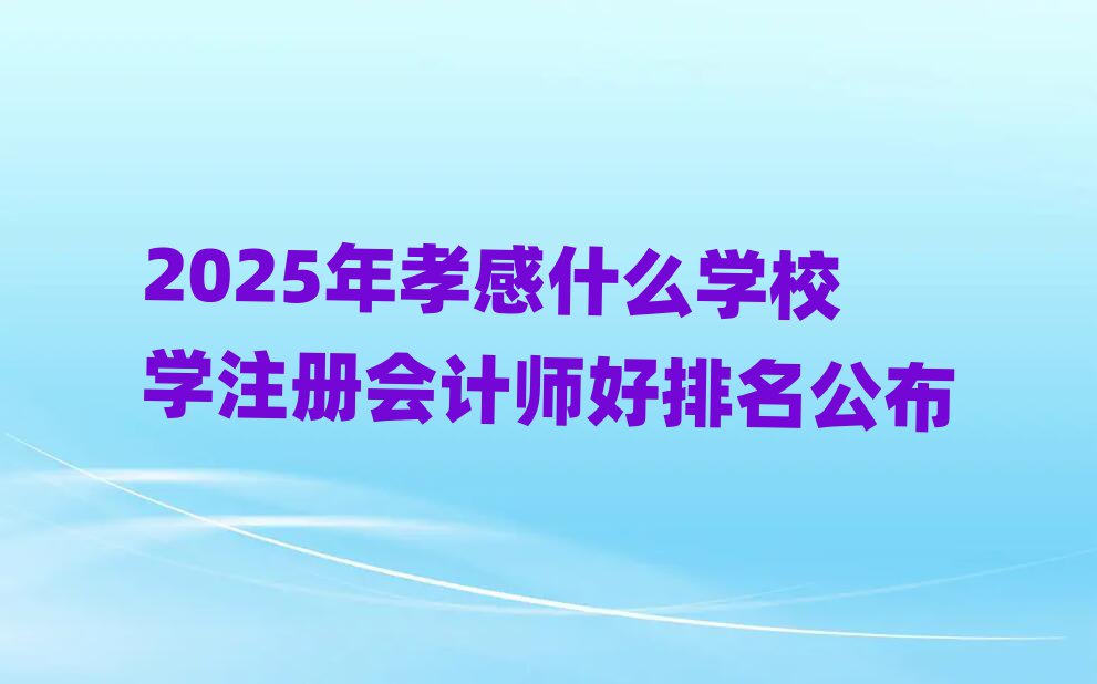 2025年孝感什么學校學注冊會計師好排名公布