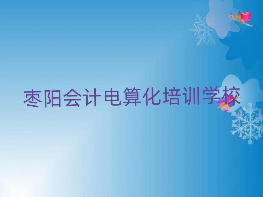 2025年棗陽(yáng)會(huì)計(jì)電算化教育培訓(xùn)哪個(gè)口碑好一點(diǎn)排名