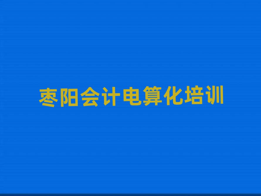 2025年棗陽(yáng)會(huì)計(jì)電算化教育培訓(xùn)哪個(gè)口碑好一點(diǎn)排名