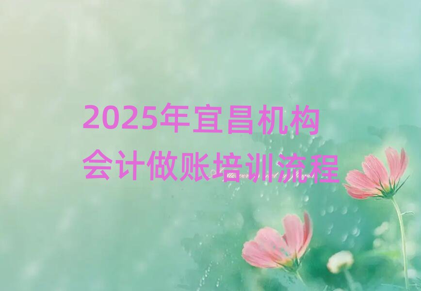2025年宜昌機構(gòu)會計做賬培訓(xùn)流程