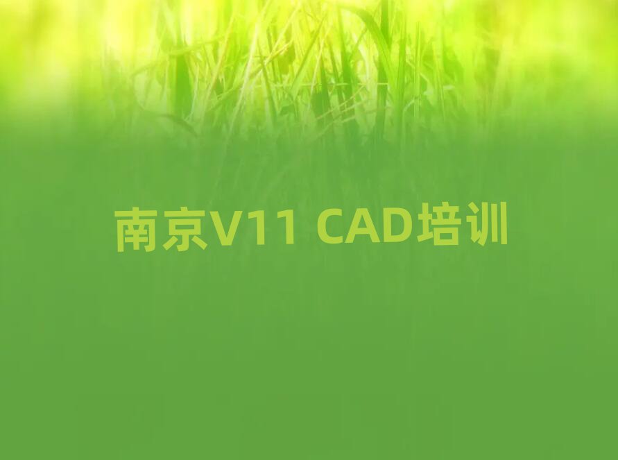 2025ϾĘǅ^(q)ČW(xu)V11 CADʮһ[Rx