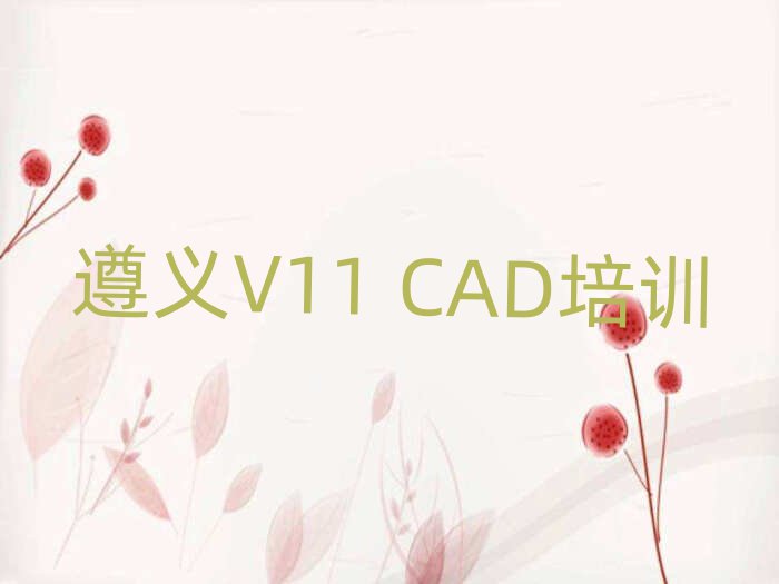 x݅^(q)V11 CADӖ(xn)]ο[һ[