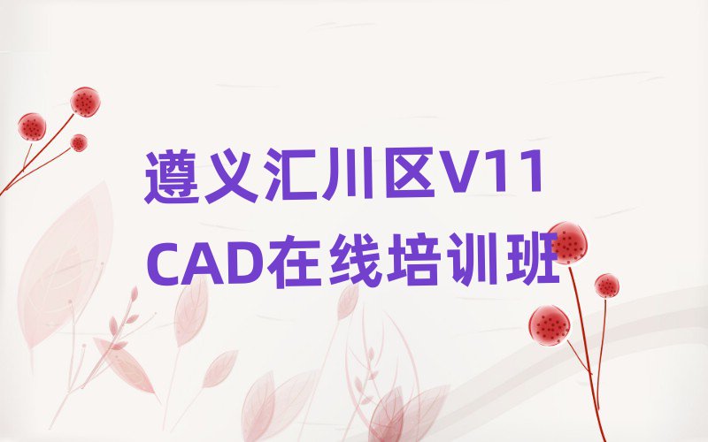 xR^(q)V11 CADھӖ