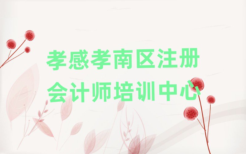 2025孝感孝南區(qū)學(xué)注冊(cè)會(huì)計(jì)師哪個(gè)培訓(xùn)班好名單榜首一覽