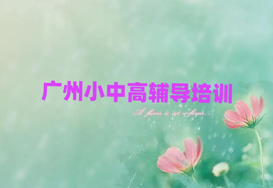 廣州荔灣區(qū)比較好的小學(xué)英語(yǔ)培訓(xùn)班精選名單排行榜匯總