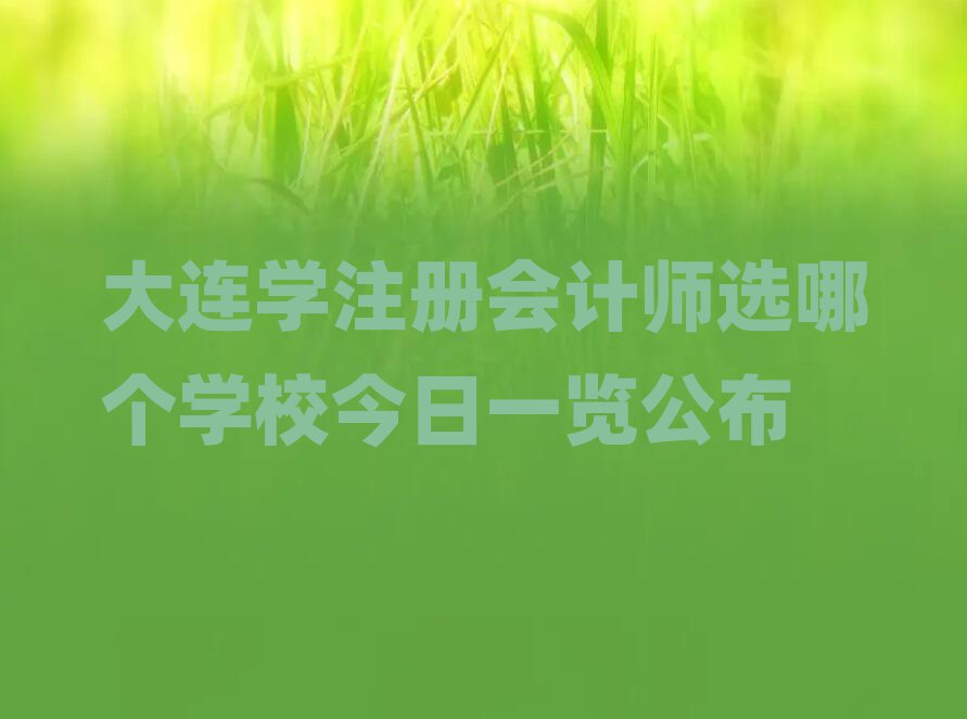 大連學(xué)注冊(cè)會(huì)計(jì)師選哪個(gè)學(xué)校今日一覽公布