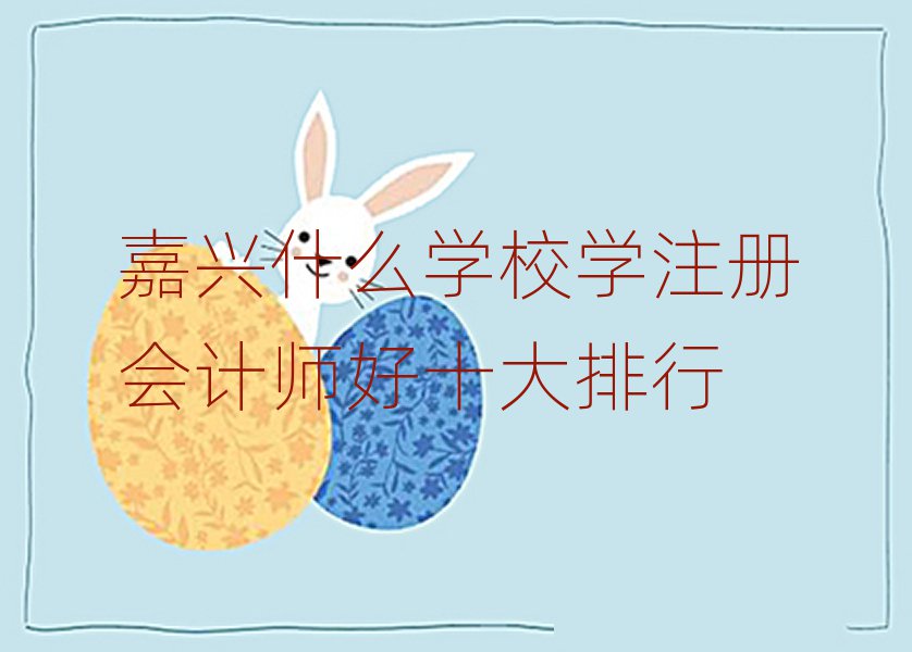 嘉興什么學(xué)校學(xué)注冊(cè)會(huì)計(jì)師好十大排行